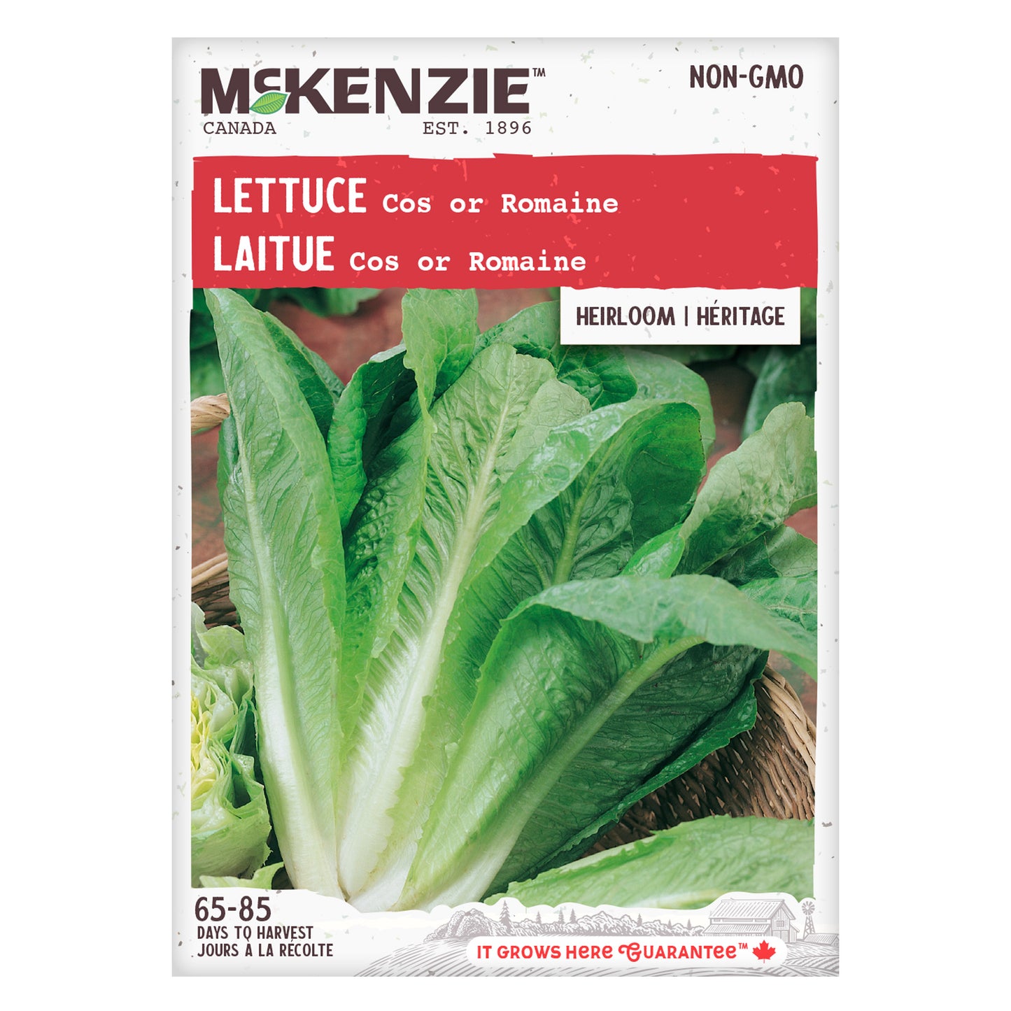Lettuce, Romaine Seeds