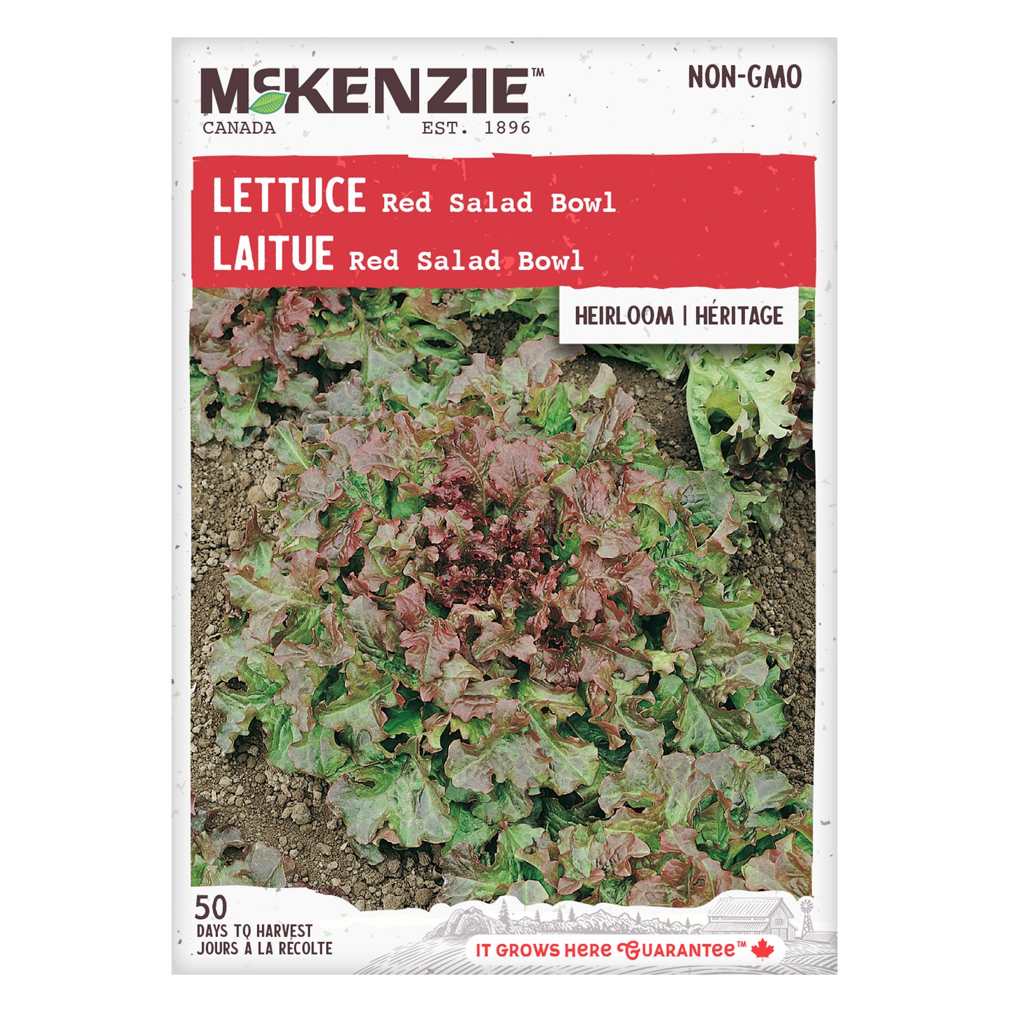 Lettuce, Red Salad Bowl Seeds