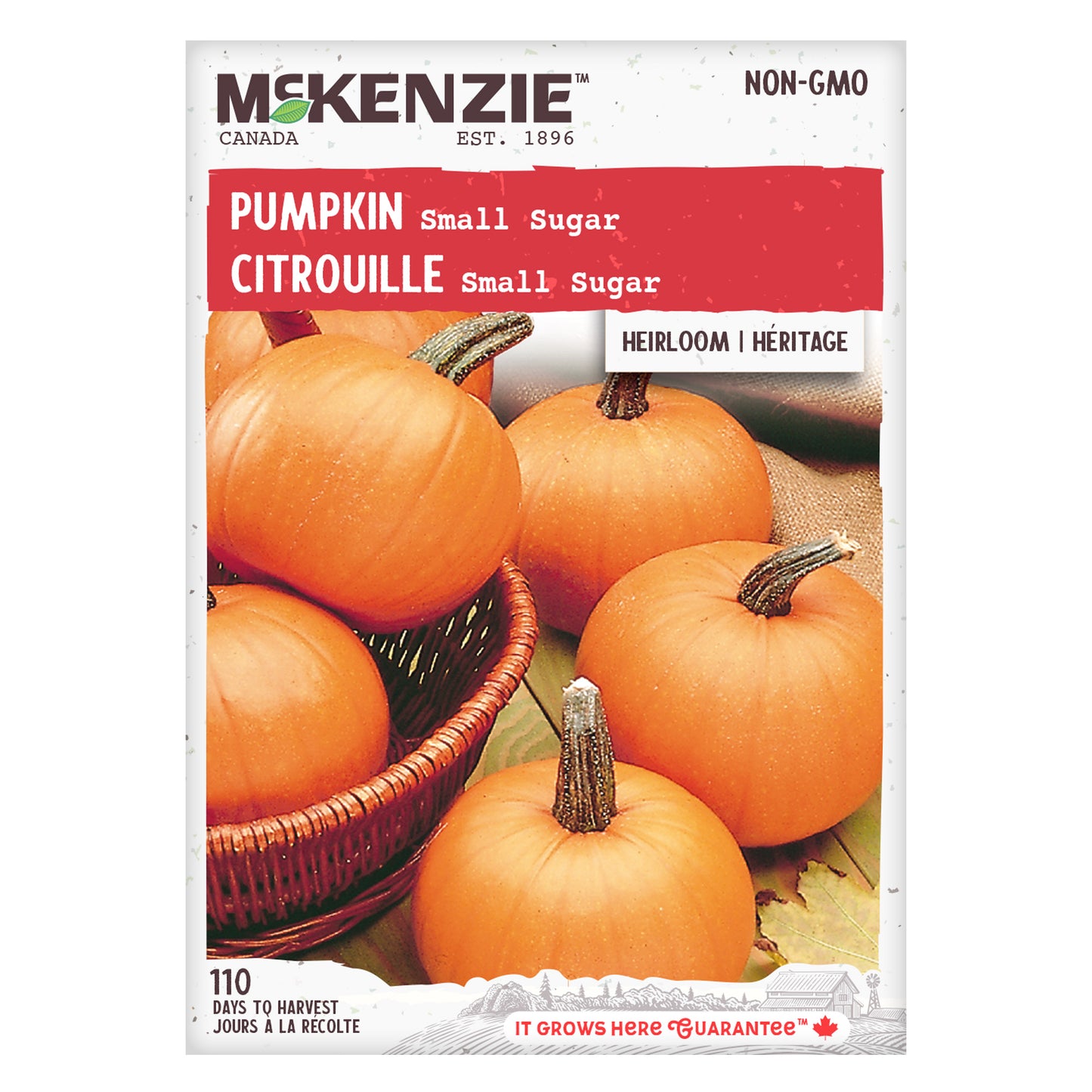 Front of McKenzie Seeds pumpkin seed packet showing variety name and brand logo