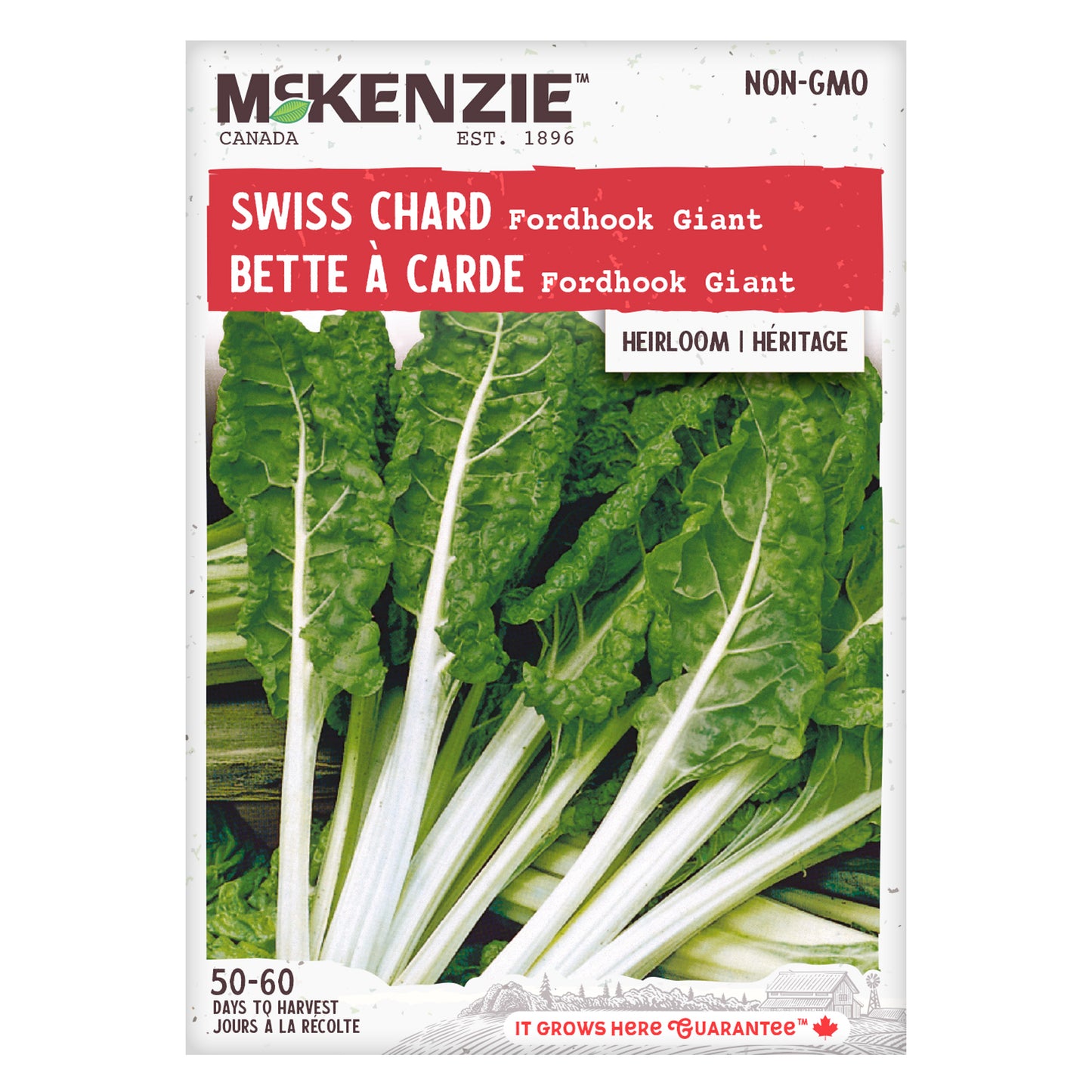 Swiss Chard, Fordhook Giant Seeds