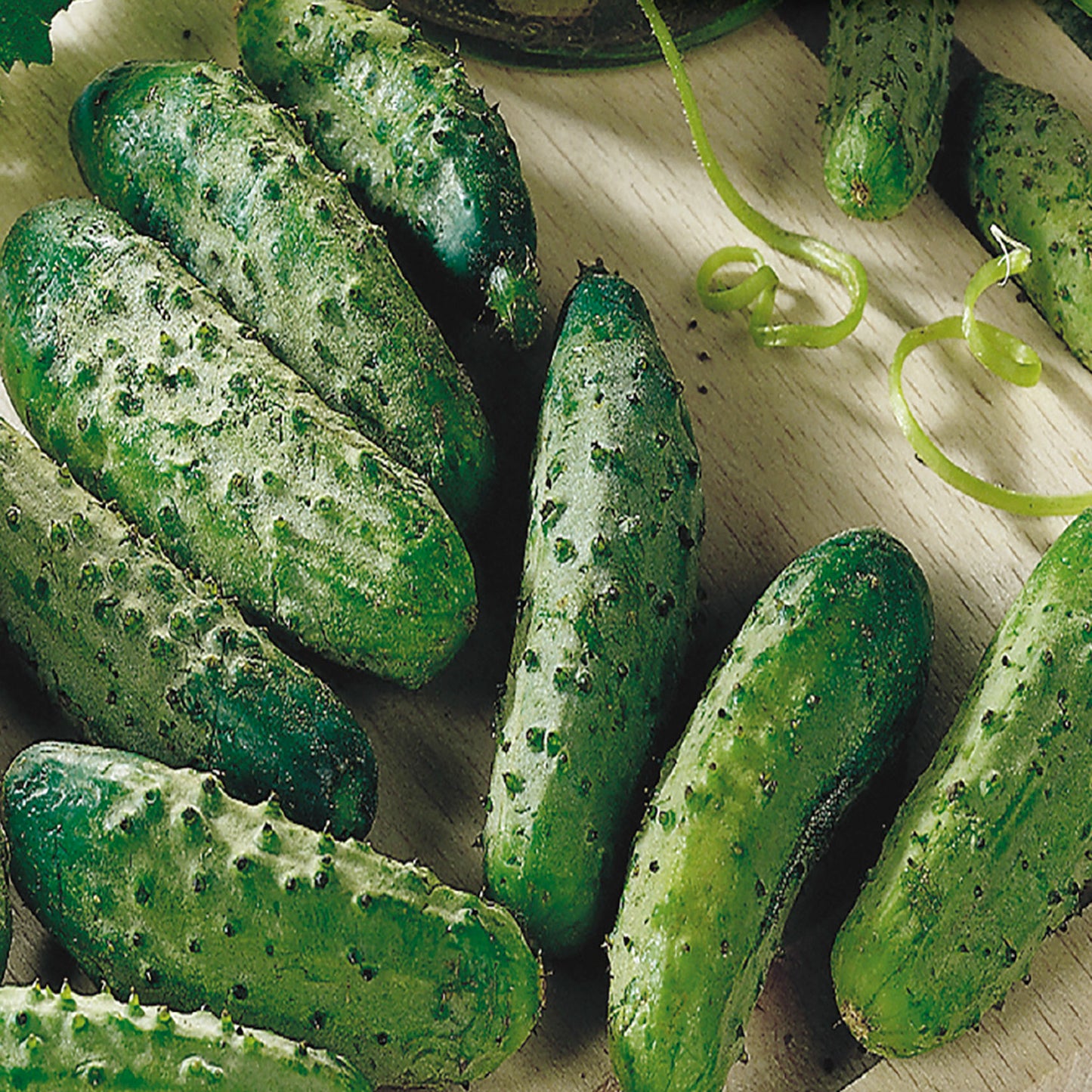 A collection of fresh cucumbers with a dark green and black spined exterior, displayed on a light background.