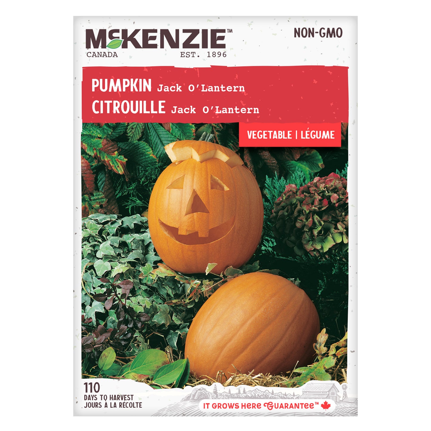 Front of McKenzie Seeds pumpkin seed packet showing variety name and brand logo
