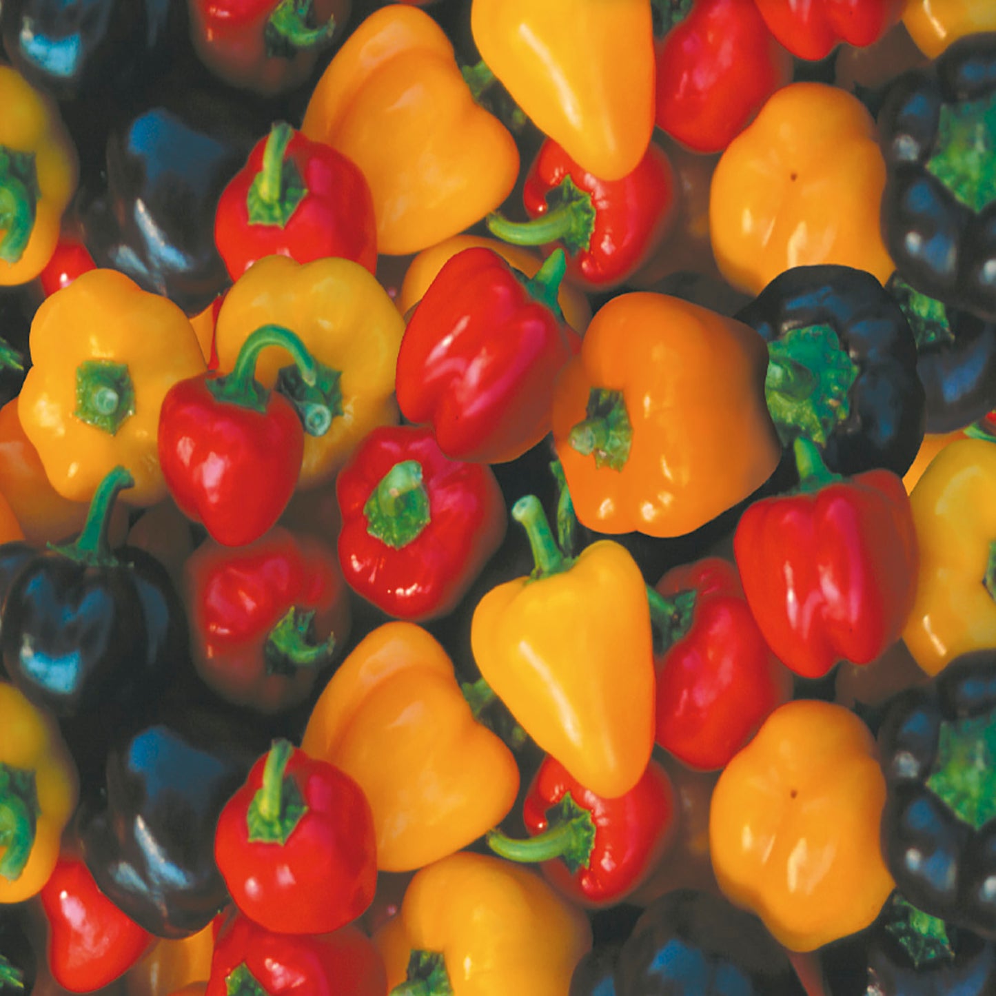A variety of mini bell peppers, including red, yellow, and green colors, tightly packed together.