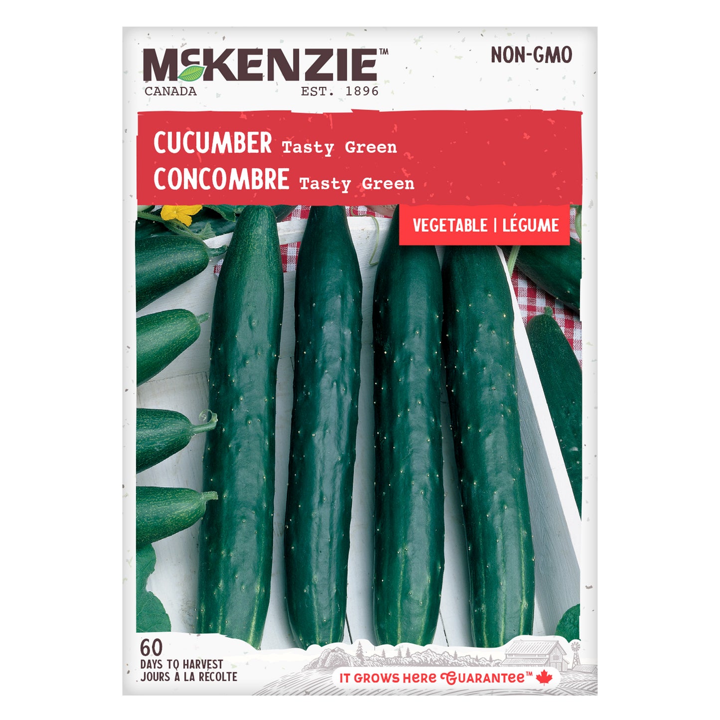 Cucumber, Tasty Green Hybrid Seeds