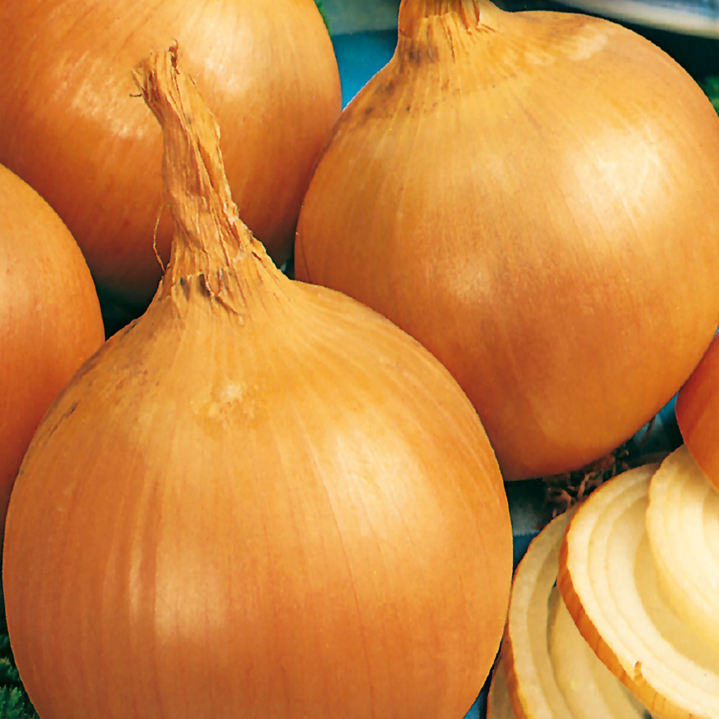 A group of Valencia onions with golden brown skins, some cut open to show the white flesh inside.
