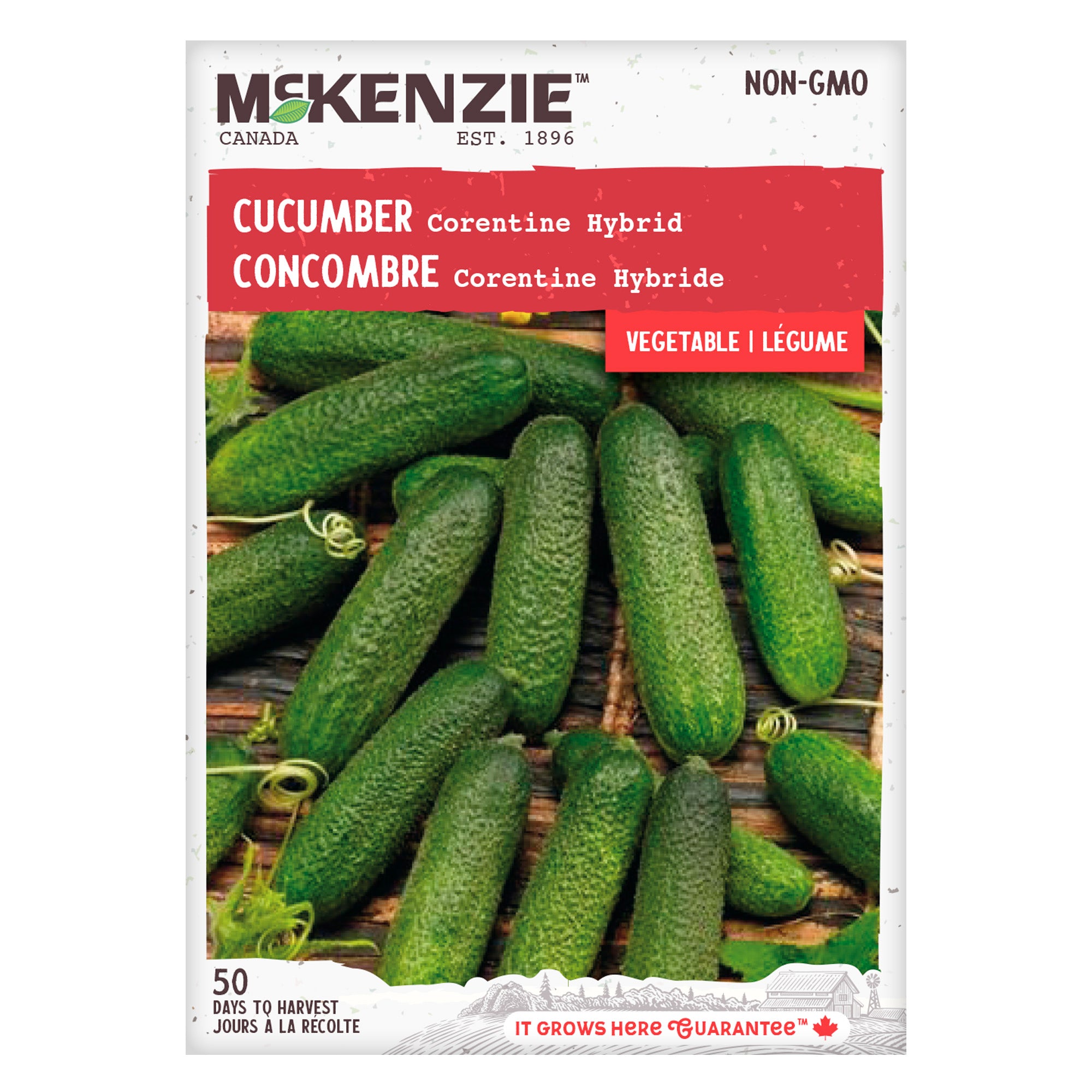 Buy Corentine Hybrid Cucumber Vegetable Seed Online | McKenzie Seeds