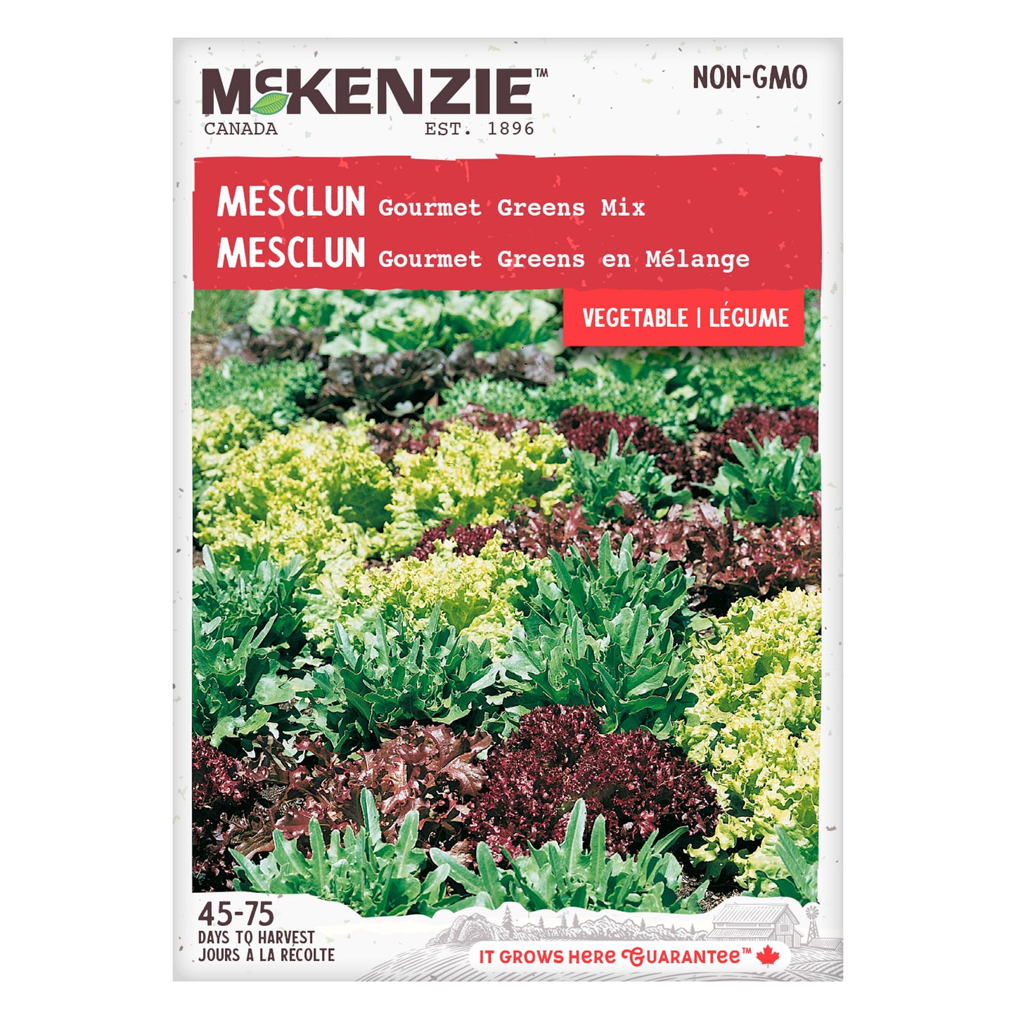 Mesclun, Gourmet Greens Mix Seeds