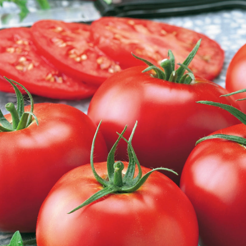 An image of bright red, ripe Early Girl tomatoes cut open to show the inside, with green stems attached.