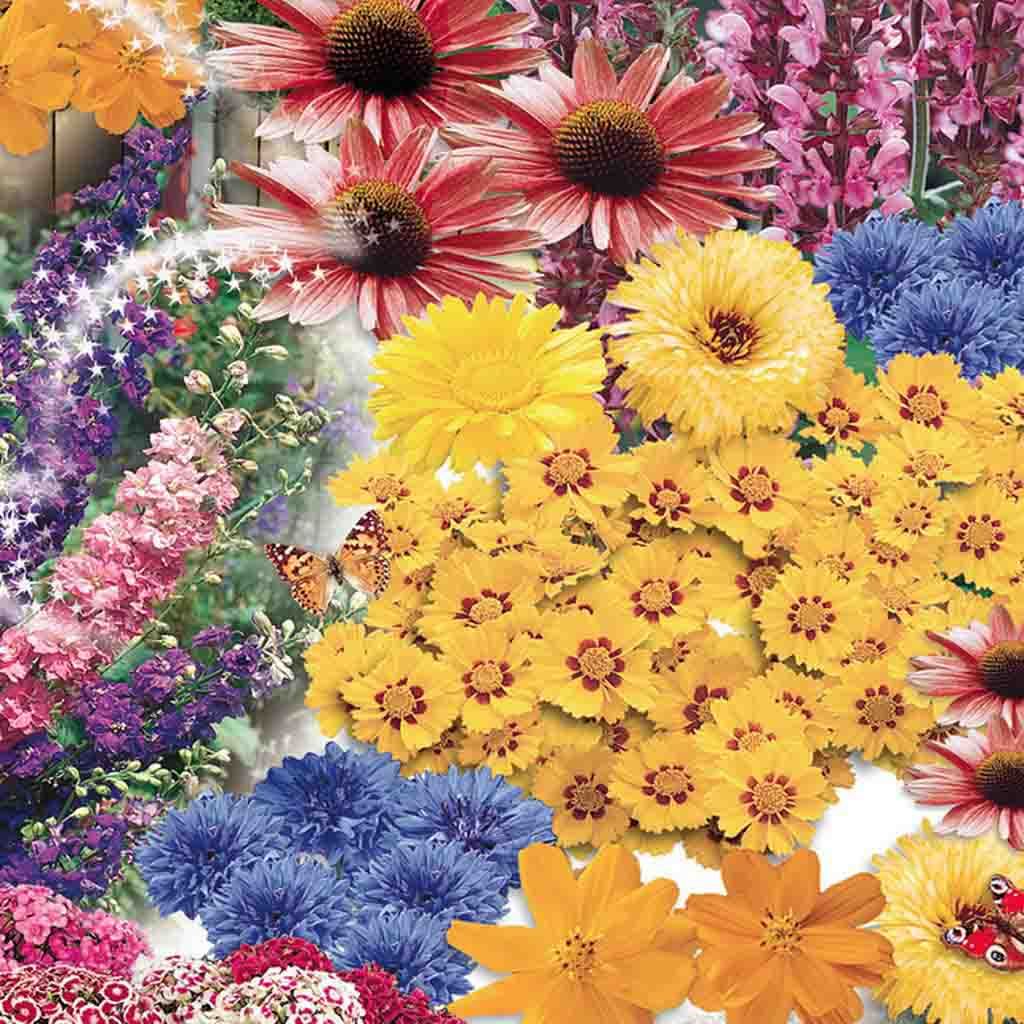 seeds for butterfly garden Wildflower Seeds, Butterfly Garden Jumbo Pack