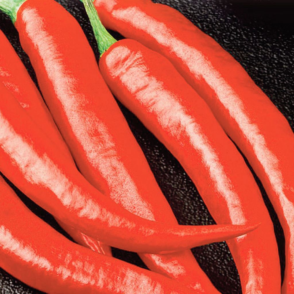 A close-up image of long red cayenne peppers.