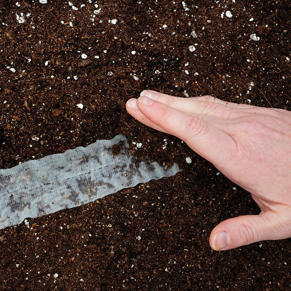 Planting seed tape