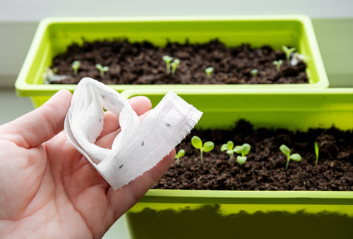 Seed Tape