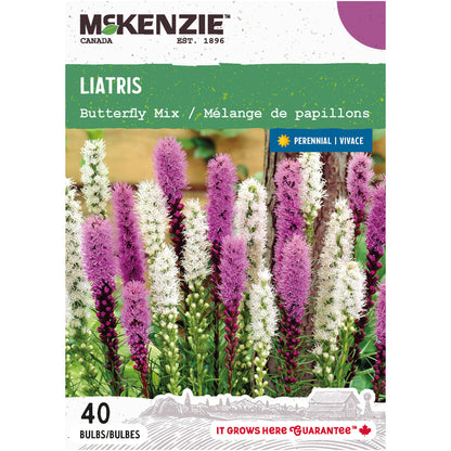 Liatris, Butterfly Mix Bulbs