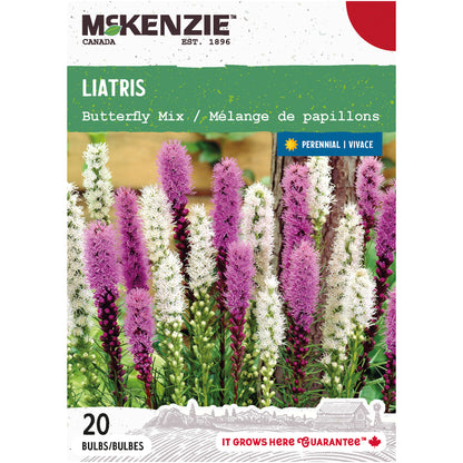 Liatris, Butterfly Mix Bulbs