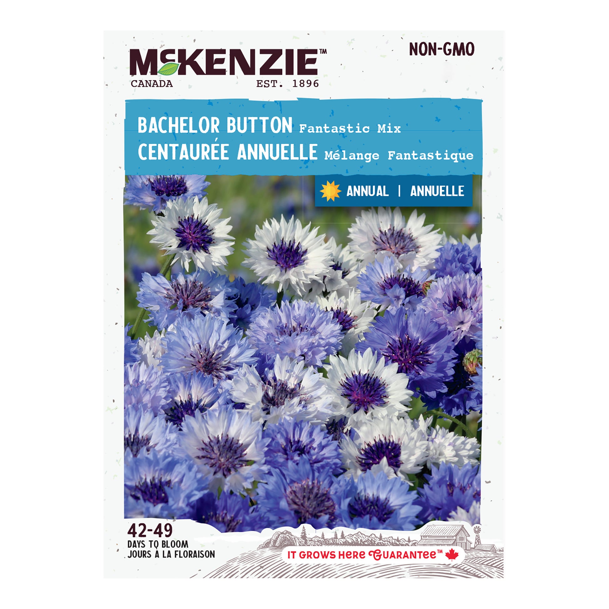 planting bachelor button seeds Buy Bachelor Button Fantastic Mix Seed