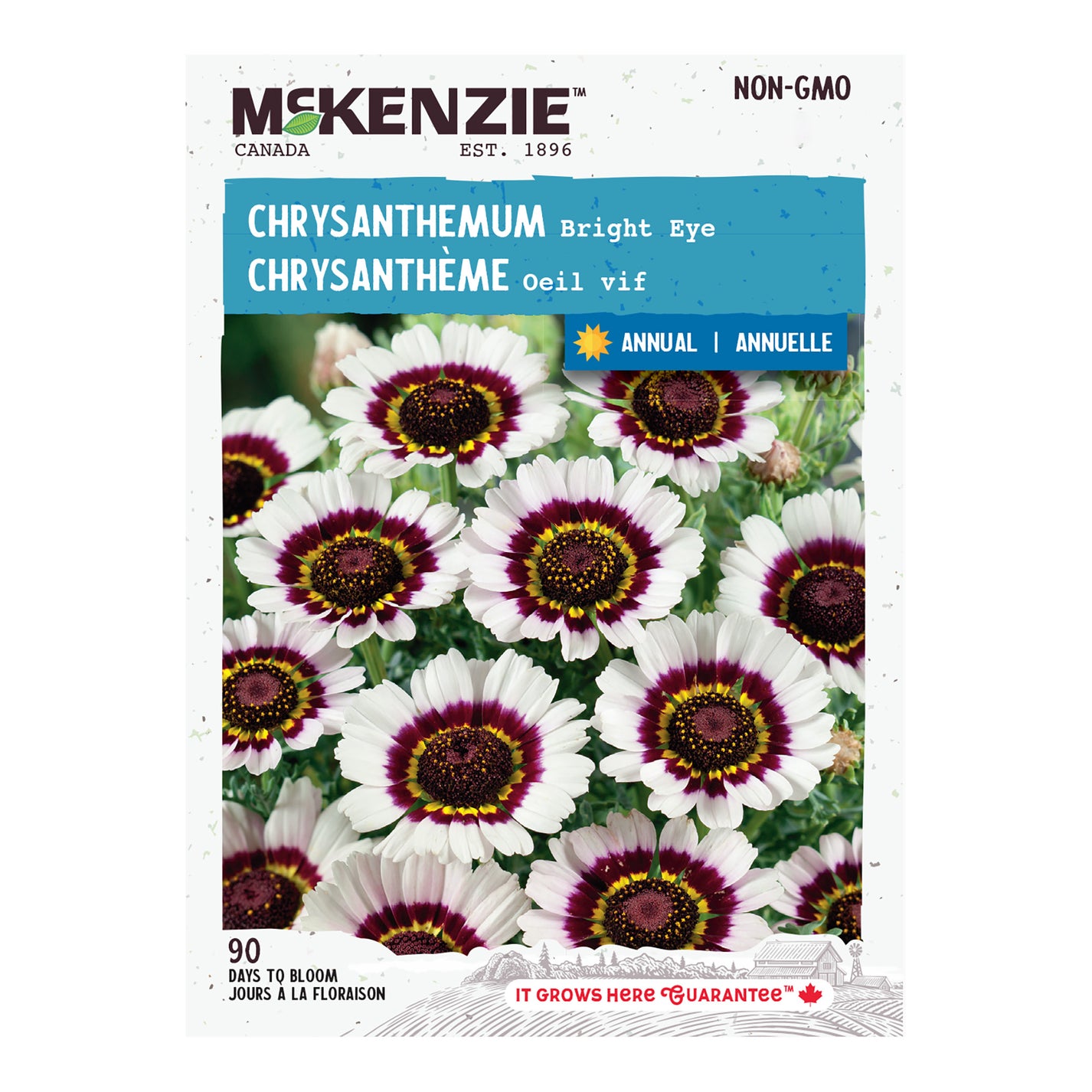 Buy Chrysanthemum Bright Eye Flower Seed Online McKenzie Seeds