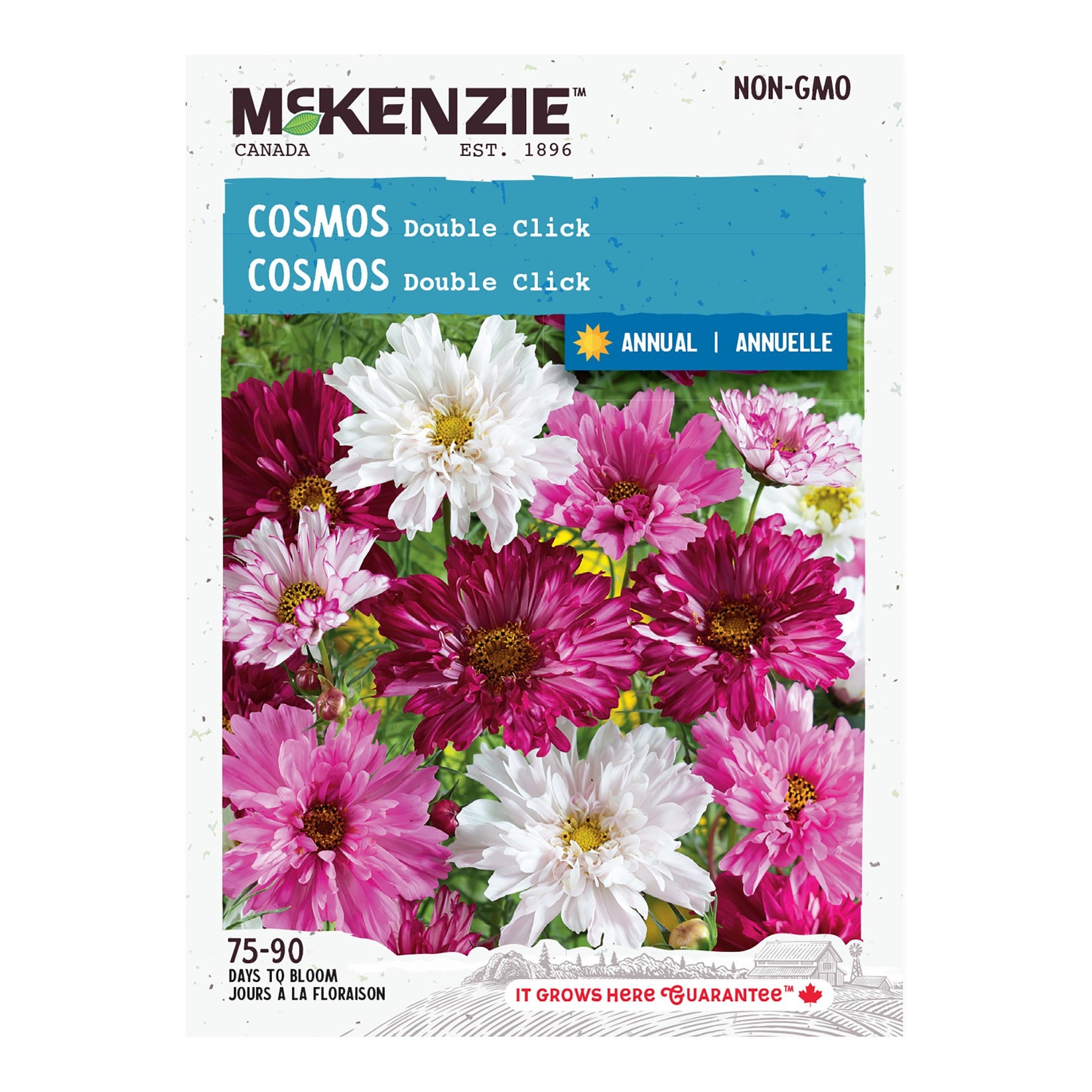 Buy Cosmos Seeds, Double Click Online – McKenzie Seeds