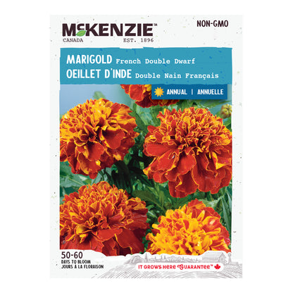 Marigold Seeds, French Double Dwarf