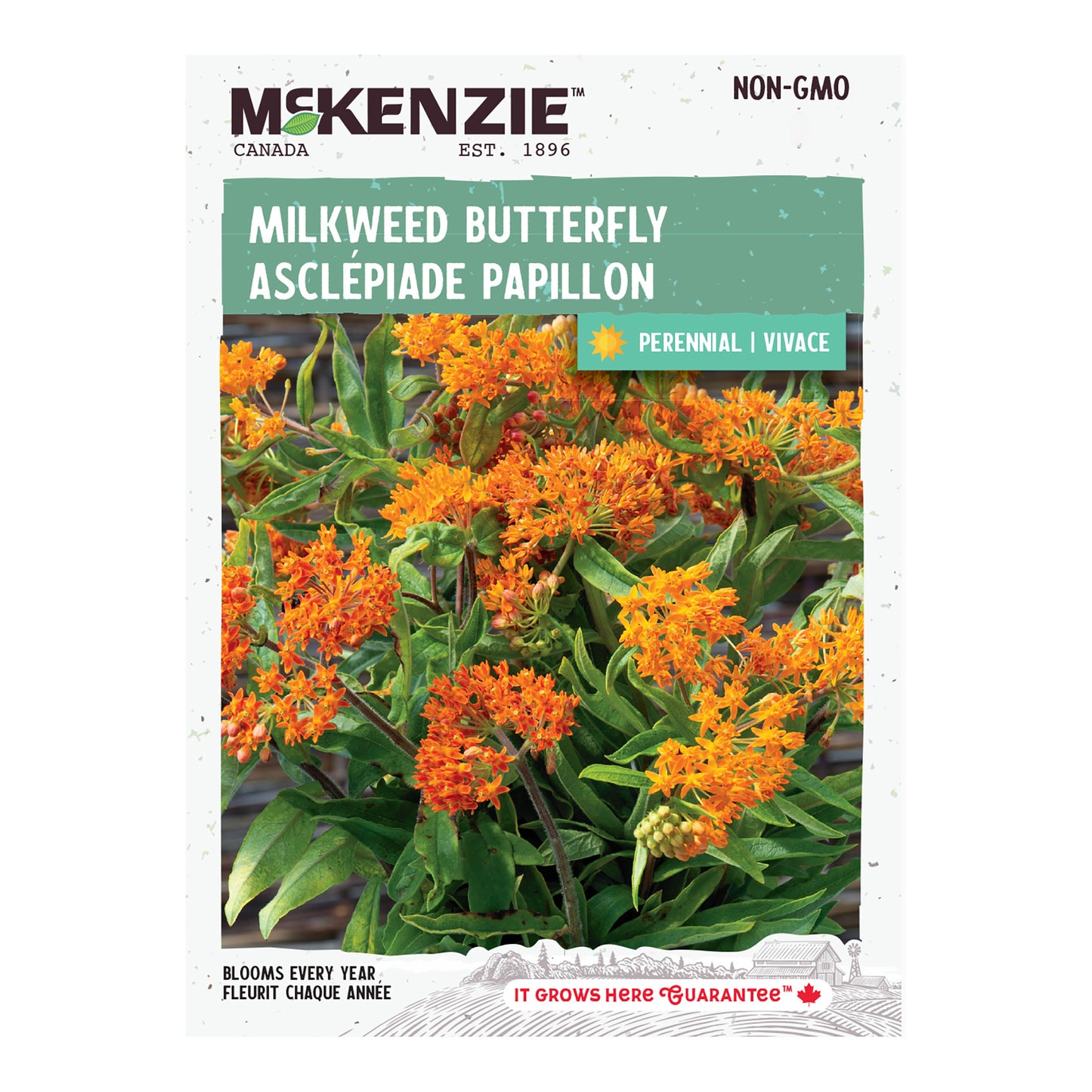 Milkweed Seeds, Butterfly