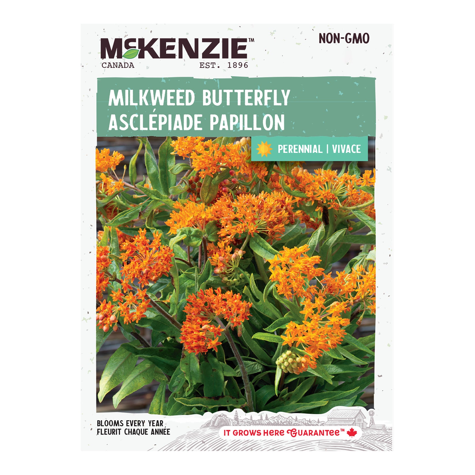 Buy Perennial Milkweed Butterfly Flower Seed Online McKenzie Seeds