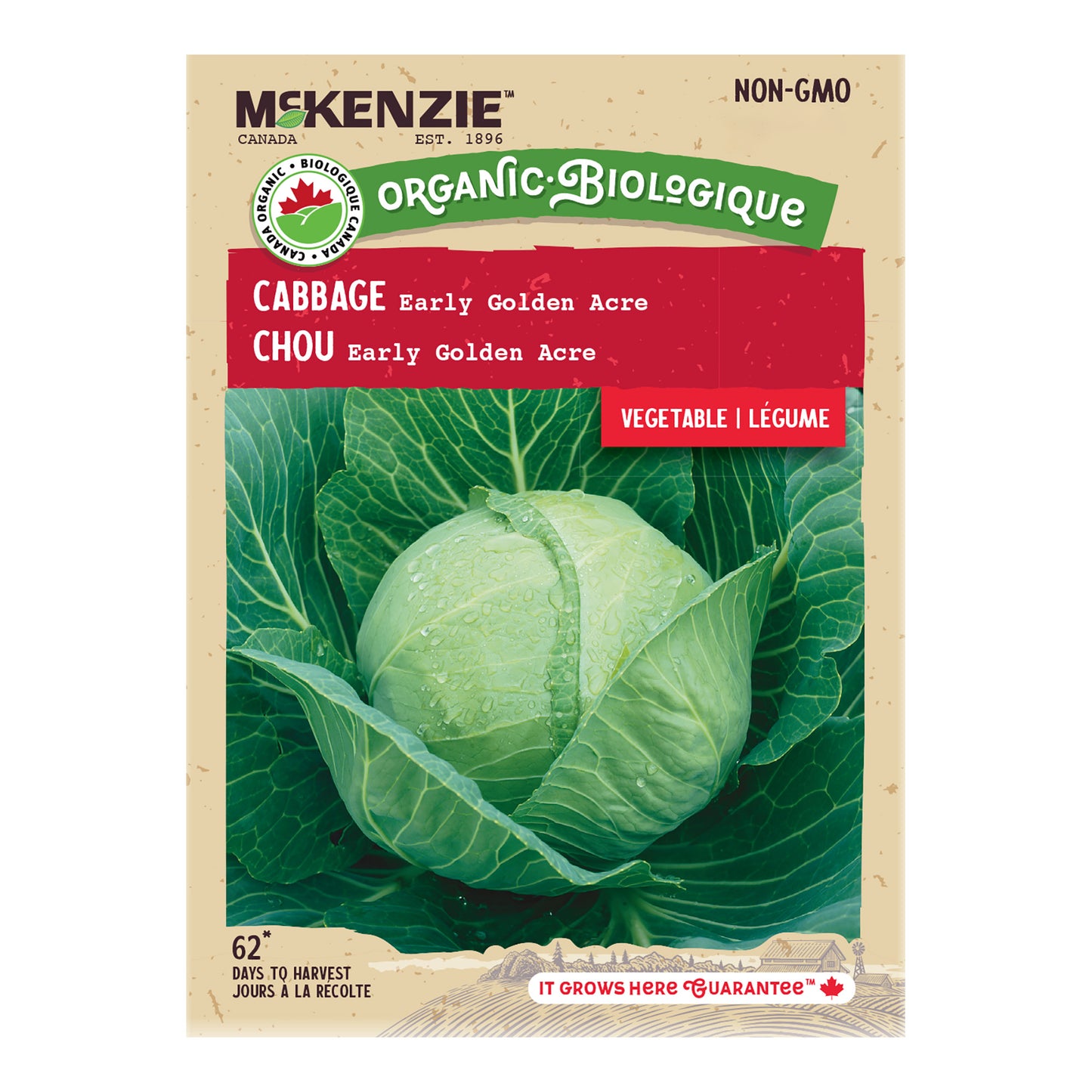 Organic Cabbage Seeds, Early Golden Acre