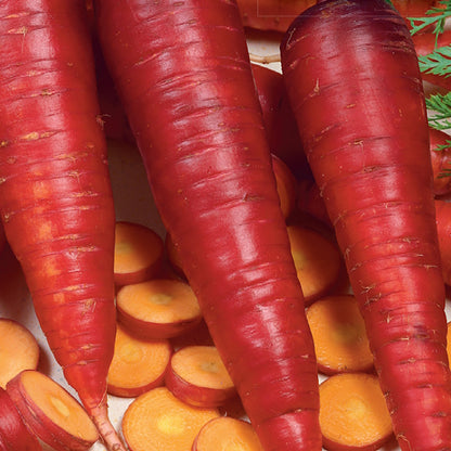 A close-up of fresh purple skinned carrots with a yellow-orange interior, displaying both whole and sliced carrots.