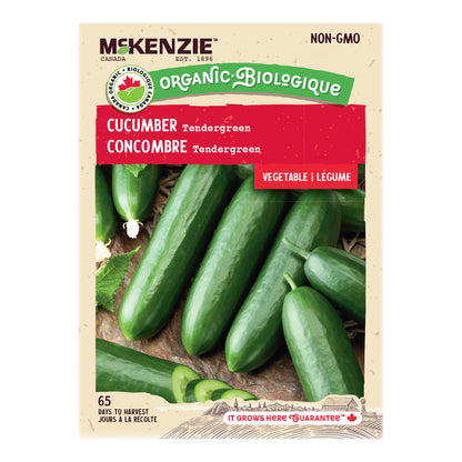 Organic Cucumber Seeds, Tendergreen