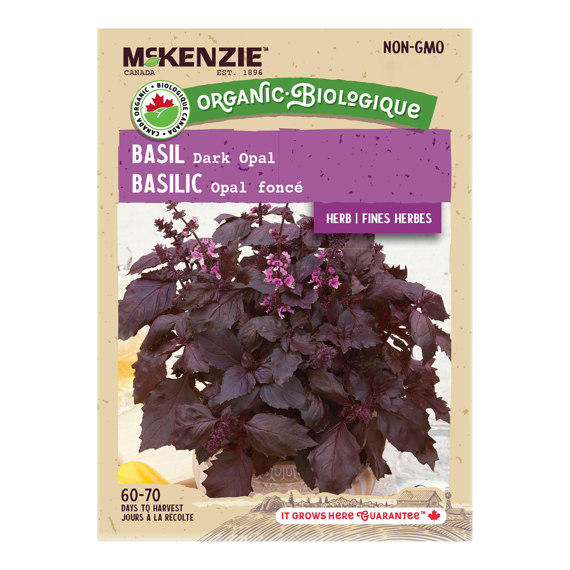 Buy Organic Dark Opal Basil Herb Seed Online McKenzie Seeds