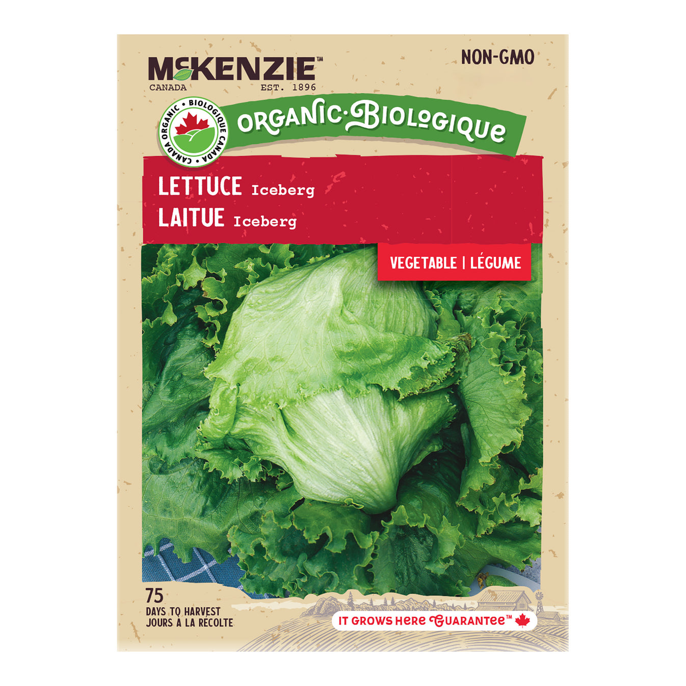 Buy Organic Lettuce Iceberg Vegetable Seed Online McKenzie Seeds