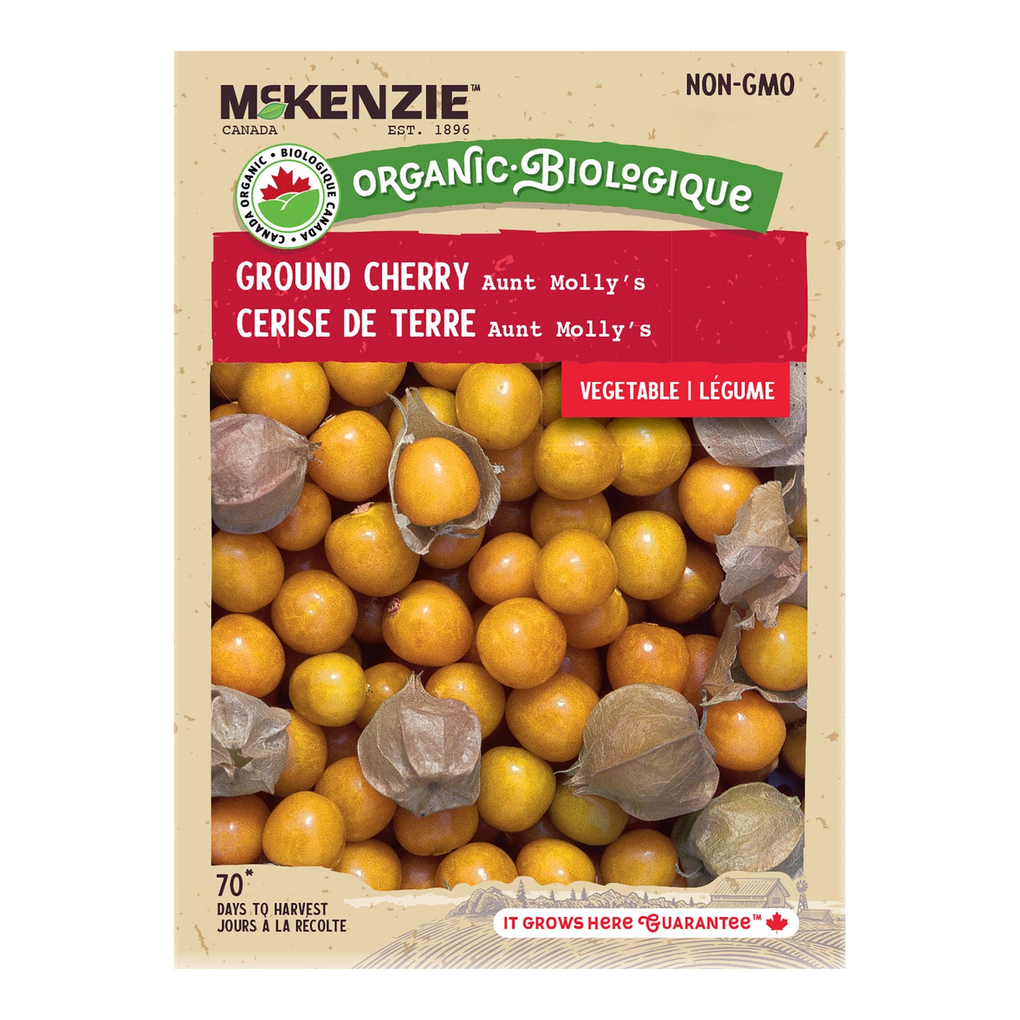 Ground Cherry, Aunt Molly's Organic Seeds