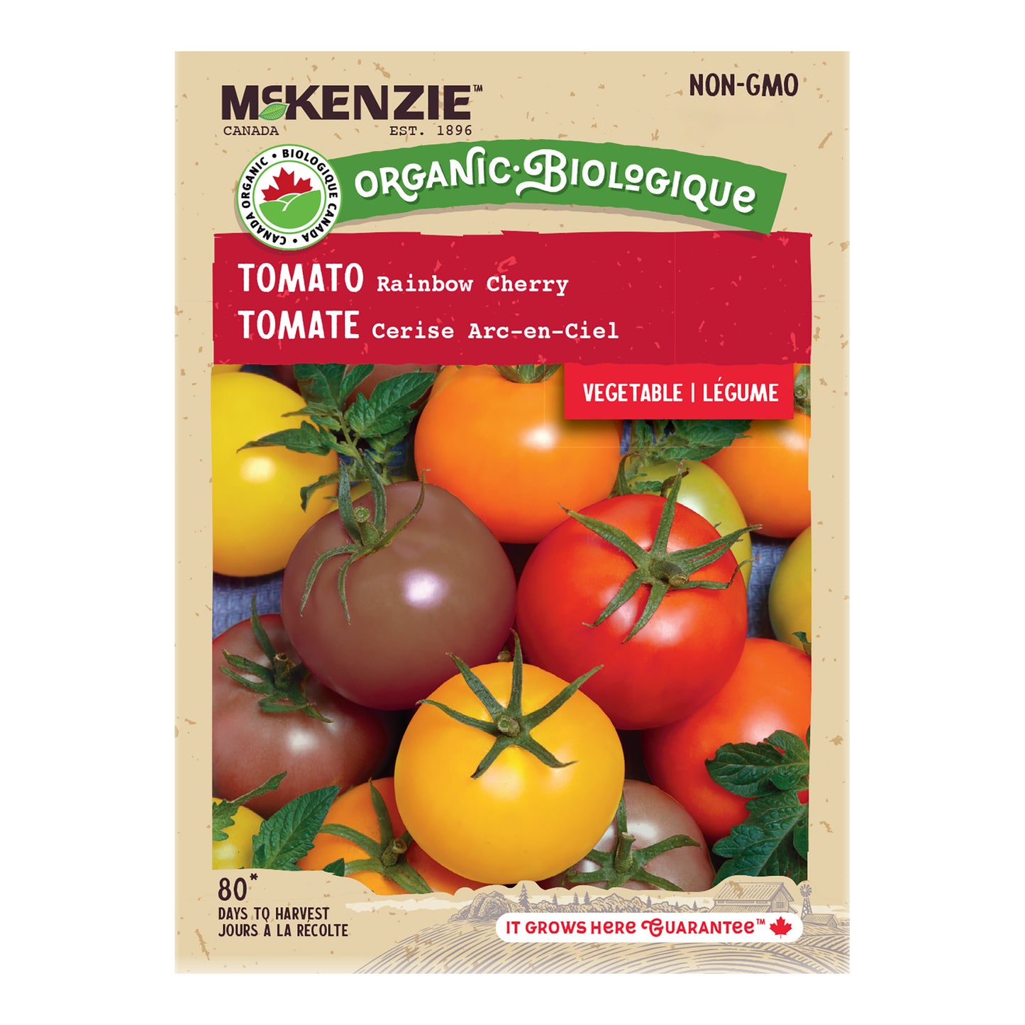 Organic Tomato Seeds, Rainbow Cherry