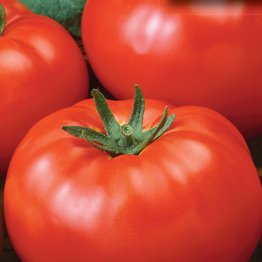 A close-up image of a ripe red tomato with a green stem.
