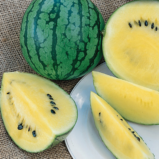 An image showing a whole watermelon with dark green stripes and a slice of the fruit revealing bright golden-yellow flesh with black seeds.
