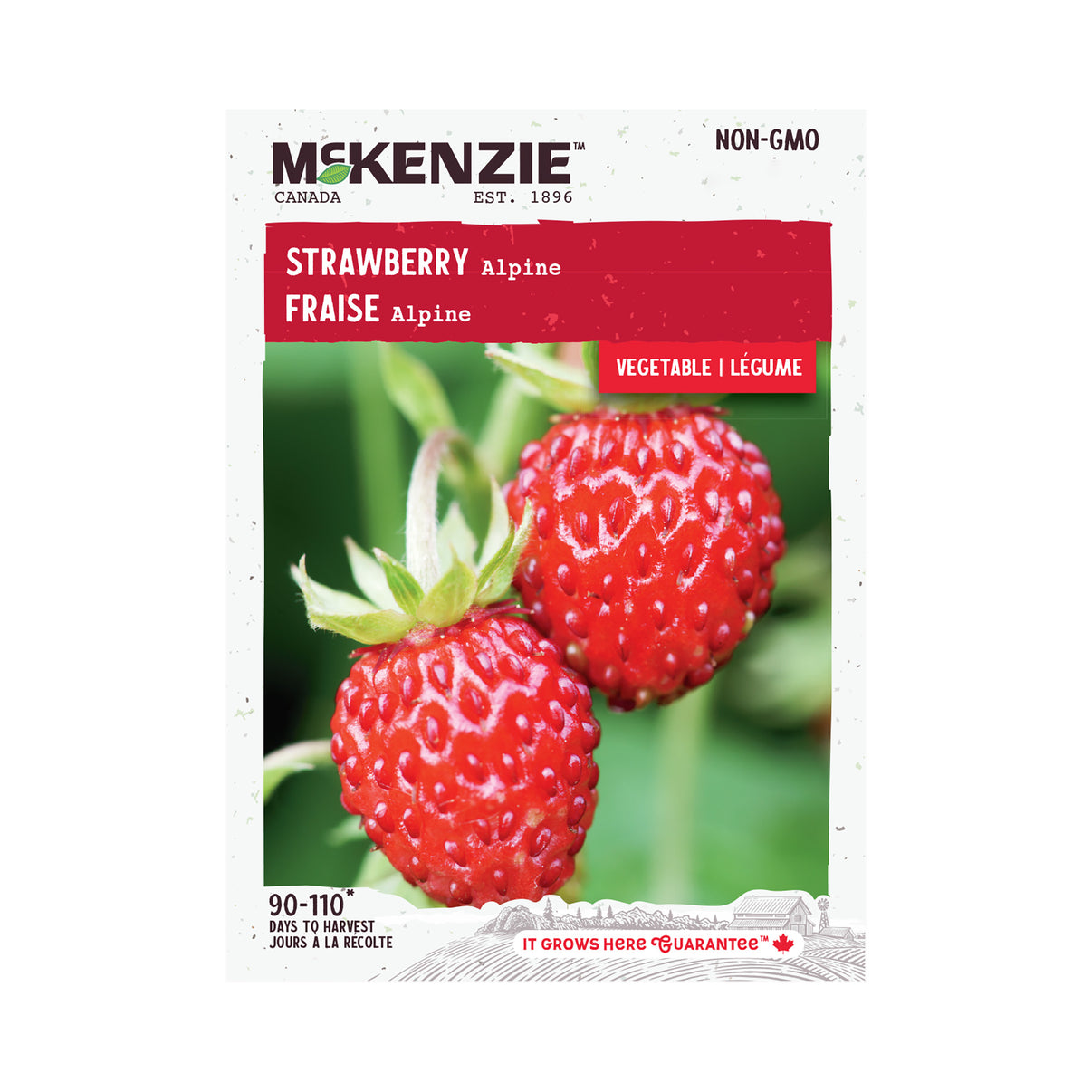 Buy Strawberry Alpine Seed Online McKenzie Seeds