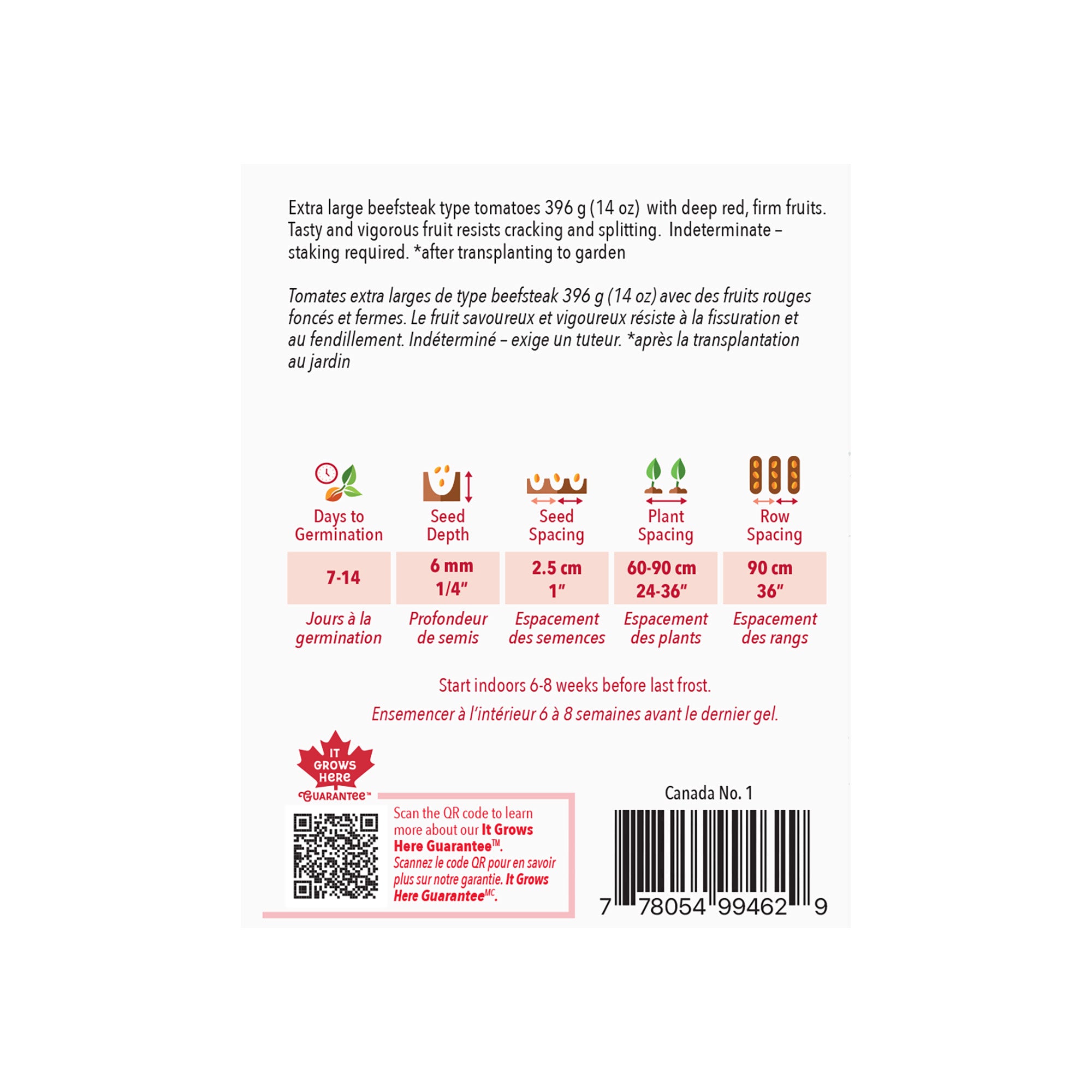 Tomato, Beef Maestro Hybrid Seeds – High-Yield Tomatoes