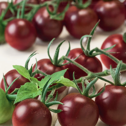 A cluster of dark red, cherry-sized tomatoes with green stems.