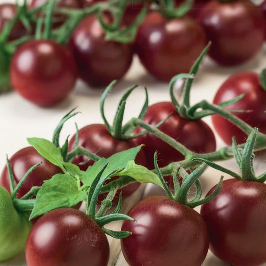 A cluster of dark red, cherry-sized tomatoes with green stems.