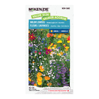 Wildflower, Hummingbird Garden Jumbo Pack Seeds