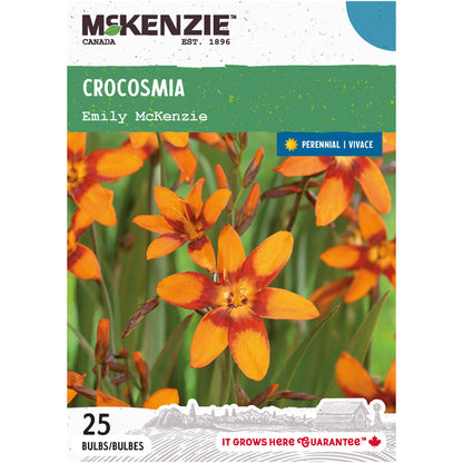 Crocosmia, Emily McKenzie Bulbs