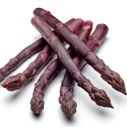 Asparagus Roots, Purple Passion Hybrid F1