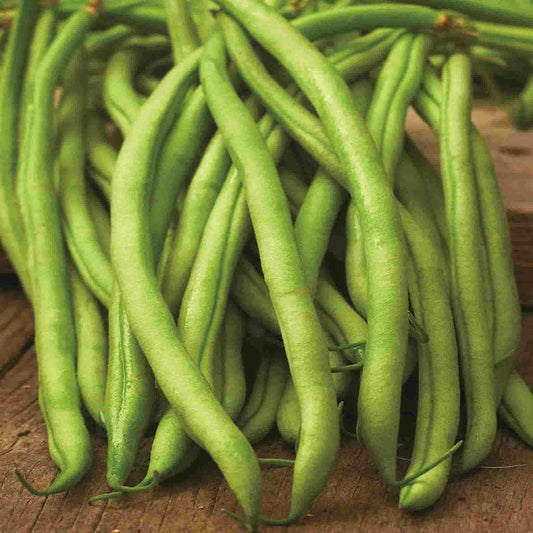 A bunch of fresh green Blue Lake Pole Beans displayed on a wooden surface.
