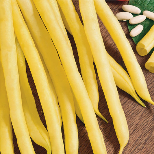 A close-up of yellow, stringless bush beans on a wooden surface.