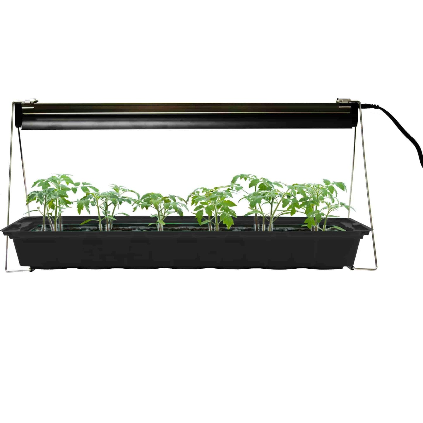 Jiffy Indoor Grow Light Fixture with LED Bulb