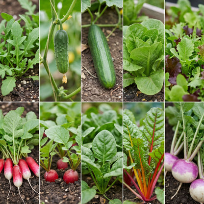 Collage of various vegetables growing in a garden.