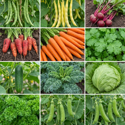 Collage of various vegetables including carrots, beans, radishes, and greens.