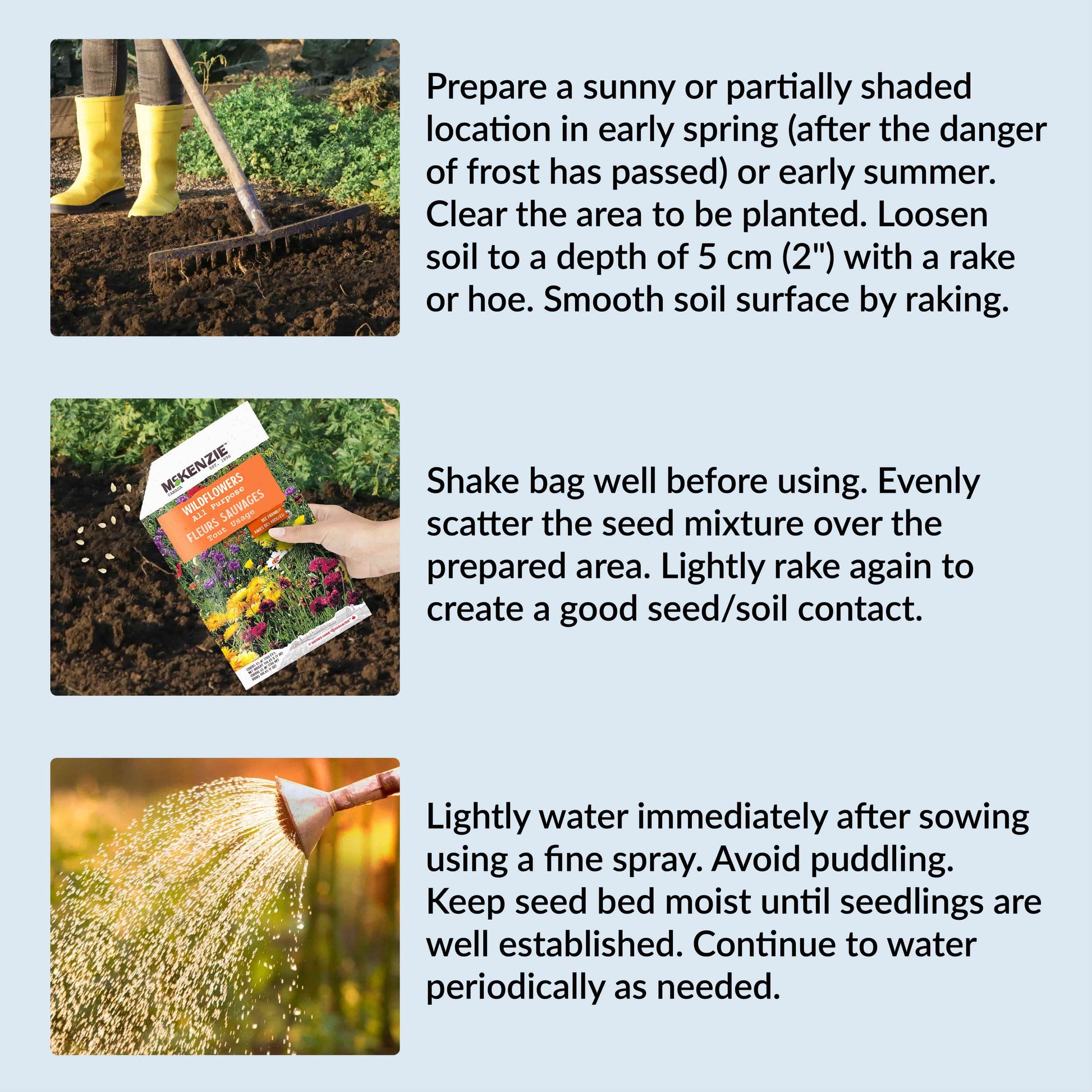 Instructions for planting seeds with images of a person gardening, a bag of seeds, and watering plants.