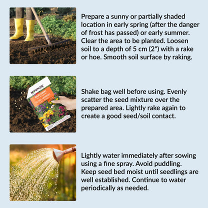 Instructions for planting seeds with images of a person gardening, a bag of seeds, and watering plants.