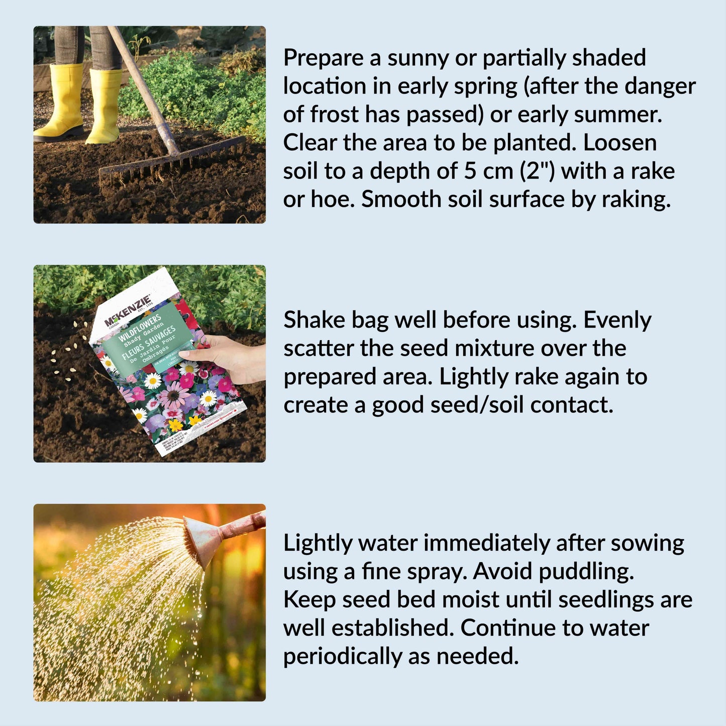 Gardening instructions with images of soil preparation, seed packet, and watering.