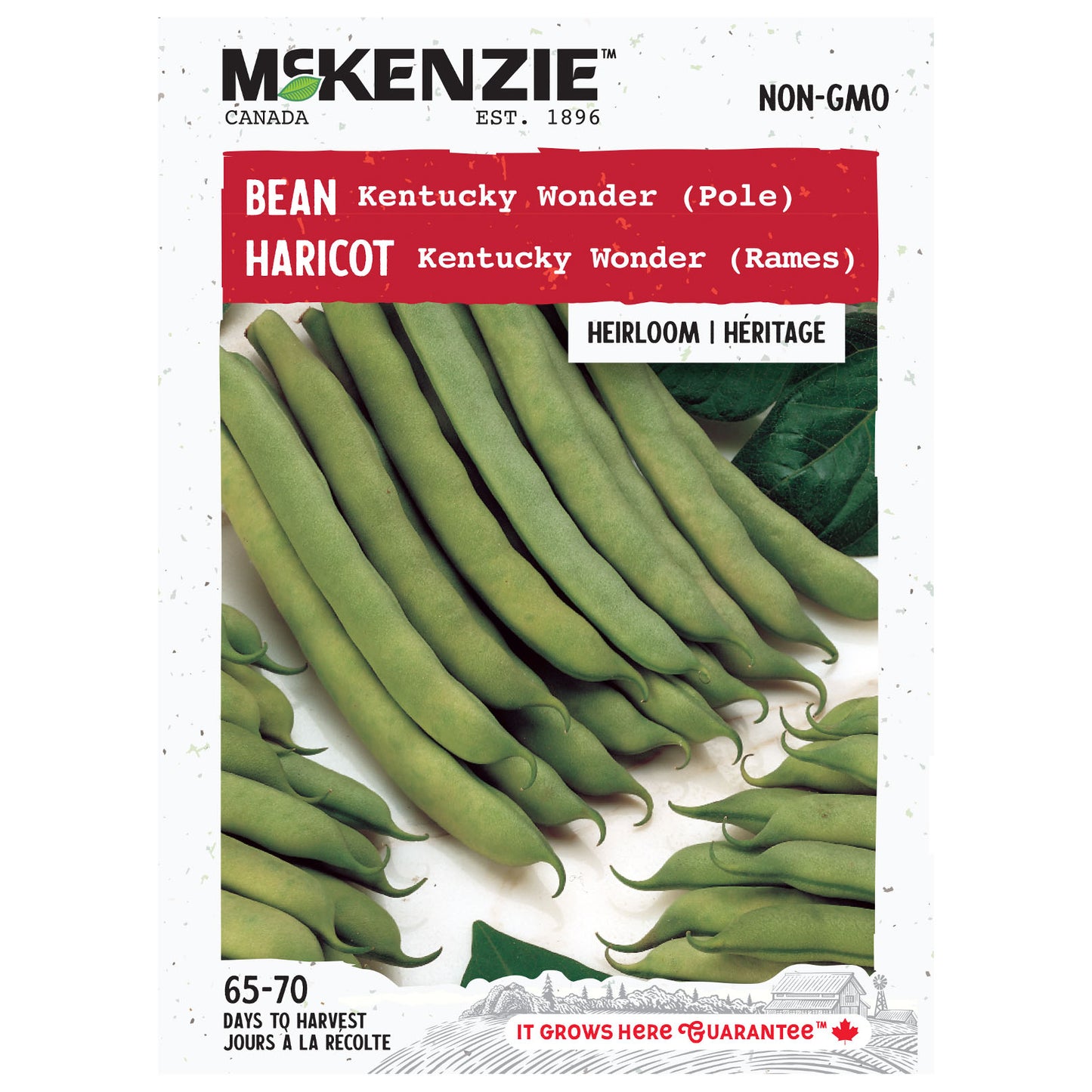 Mckenzie brand seed packet for Kentucky Wonder green beans on a white background