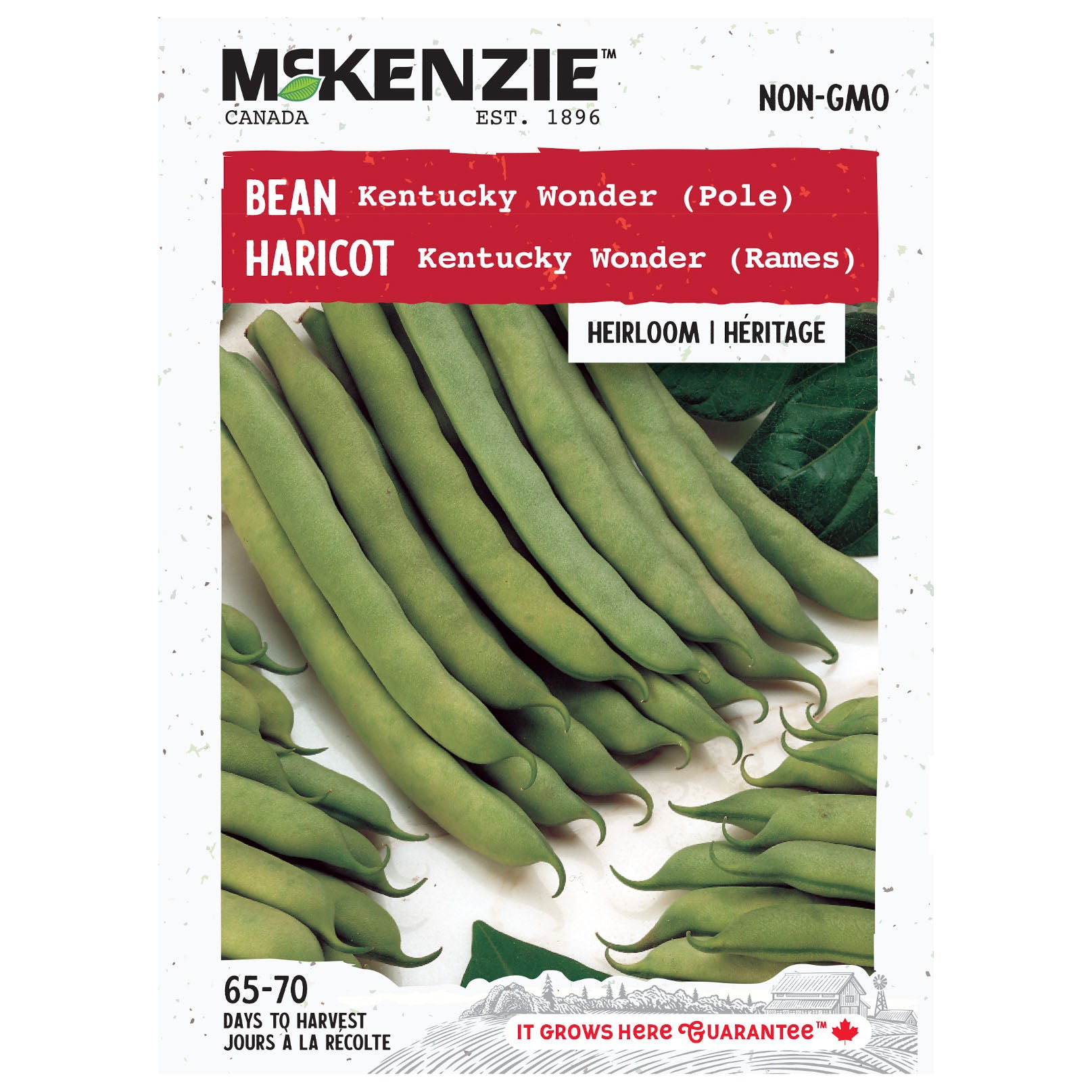 Mckenzie brand seed packet for Kentucky Wonder green beans on a white background